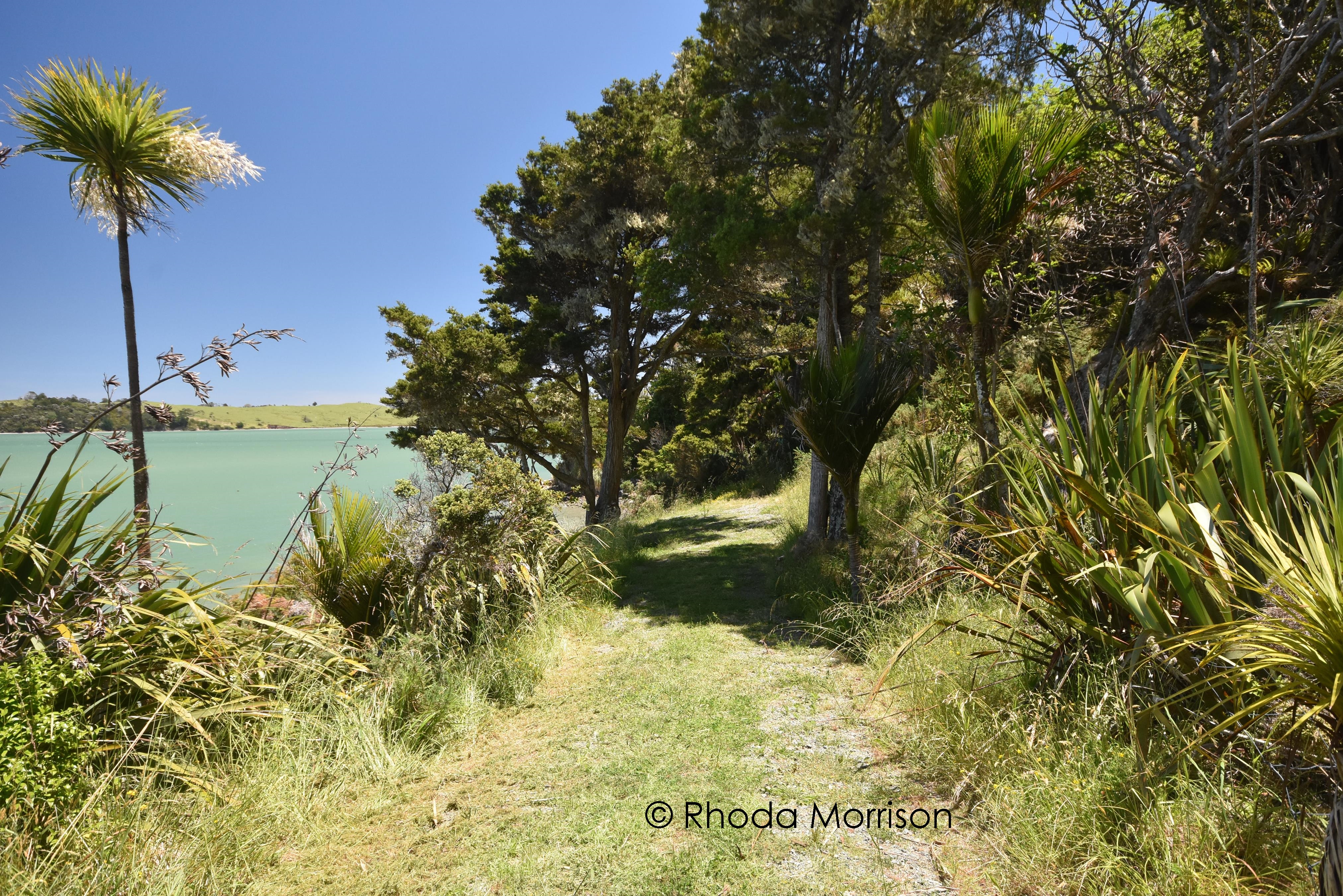 435 Heatley Road, Whakapirau, Kaipara, 0 રૂમ, 0 બાથરૂમ