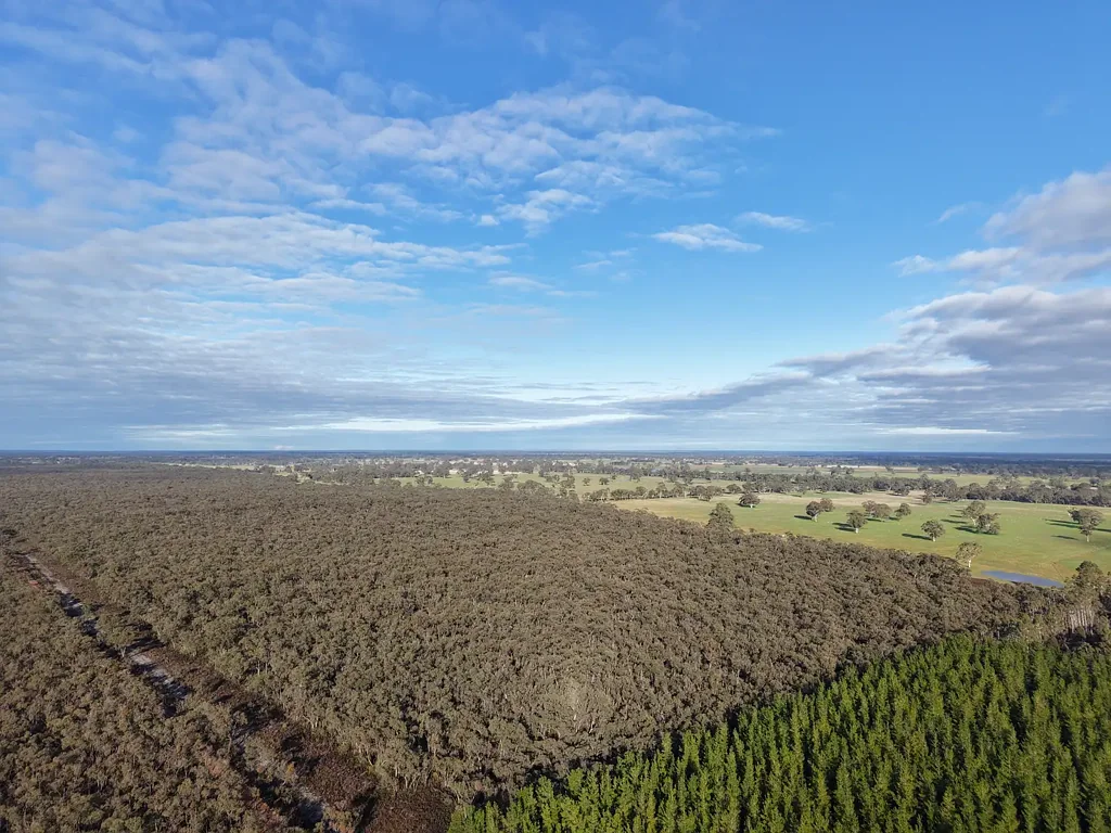Edenhope  Nature & Lifestyle Opportunity