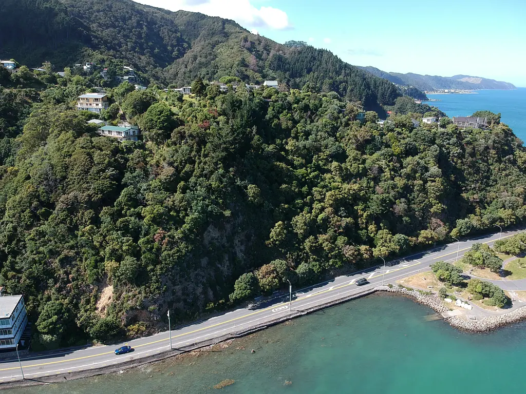 Lowry Bay Build Your Dream Home