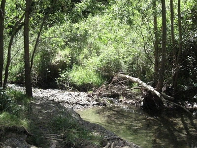 Rural Zone