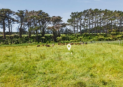 177A Mid Puniho Road, Warea, New Plymouth District, Taranaki, 0 Bedrooms, 0 Bathrooms, Lifestyle Section