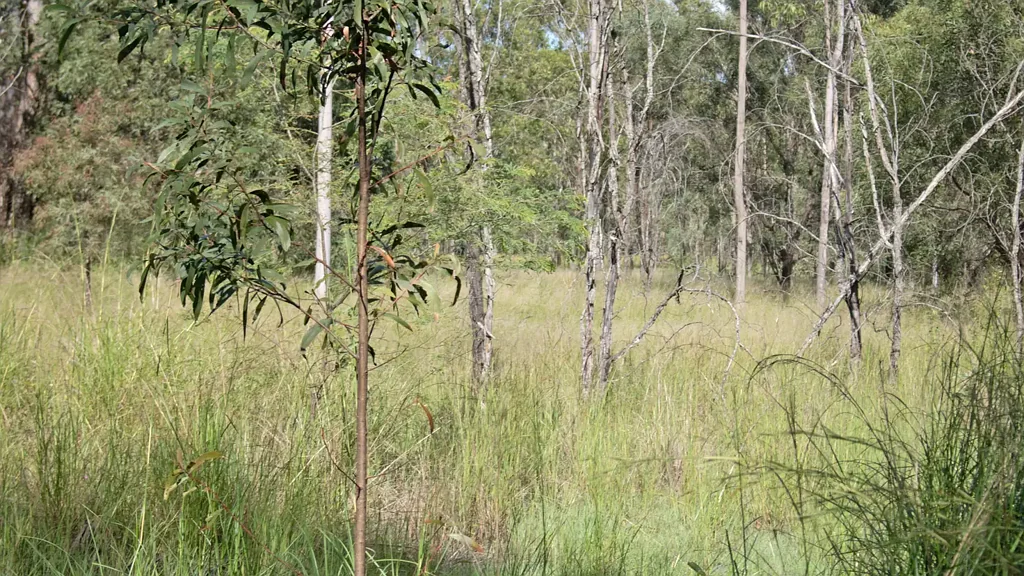 LOT 2/MPH22711 Burnett Highway, Eidsvold, QLD 4627