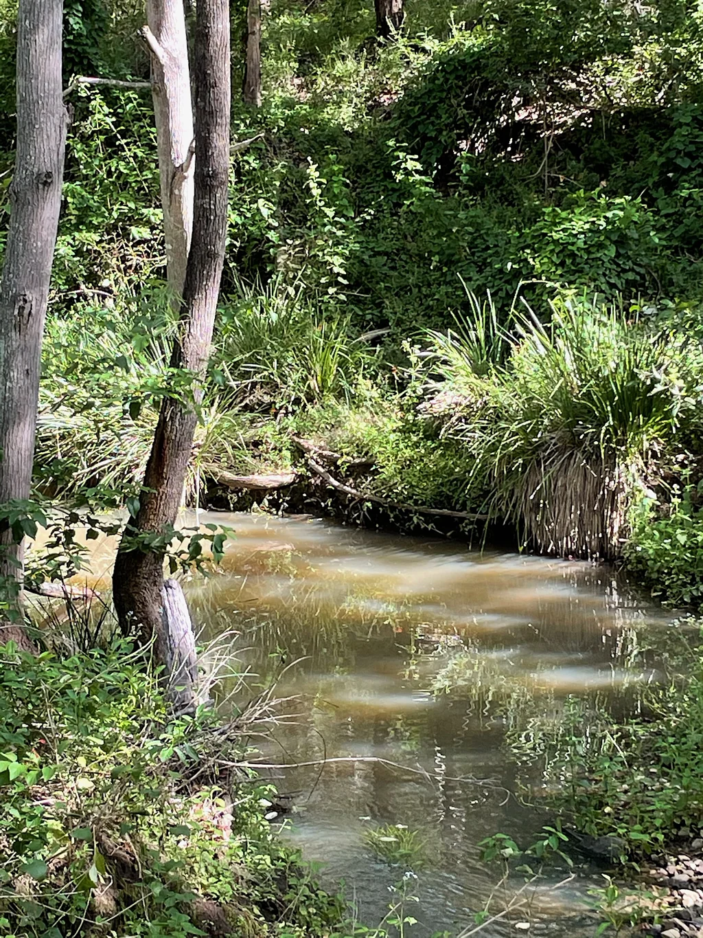 Moolboolaman Acreage with a Difference