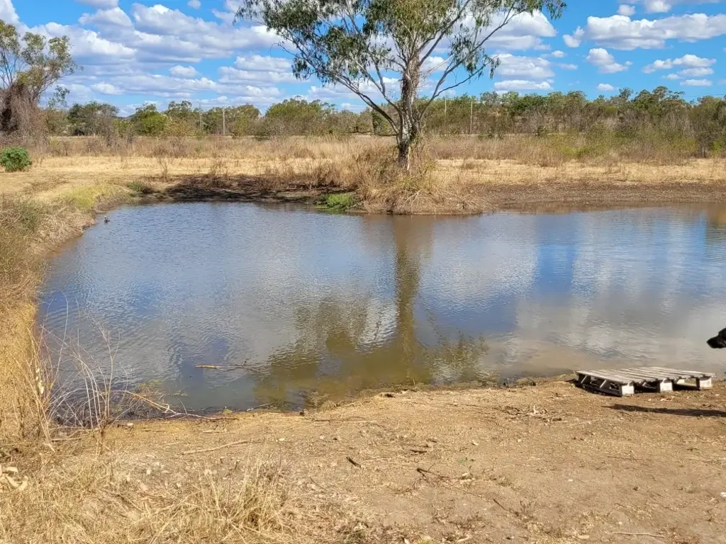 Stanwell COUNTRY LIVING WITHOUT LEAVING TOWN CONVENIENCE BEHIND