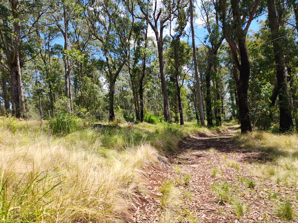 Mount Colliery  PURE RAINFOREST RETREAT