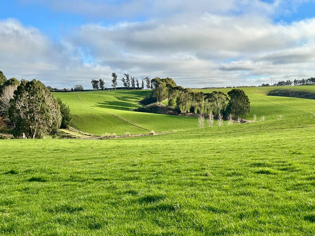 Balclutha Dairy Unit with Scale - Two Farms