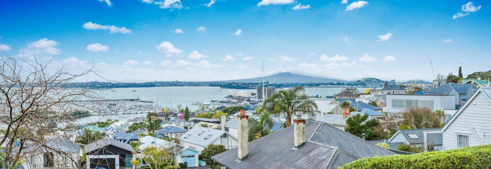 1/5 Seymour Street, Saint Marys Bay, Auckland, 3 chambres, 0 salles de bain