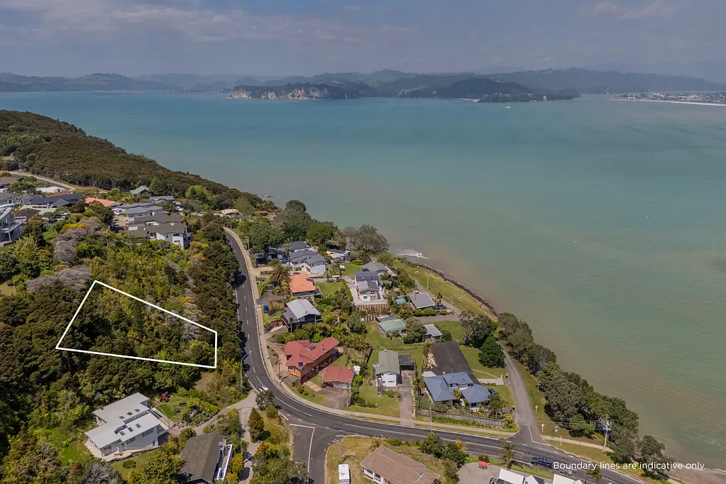 Whitianga Now's The Time To Be Here
