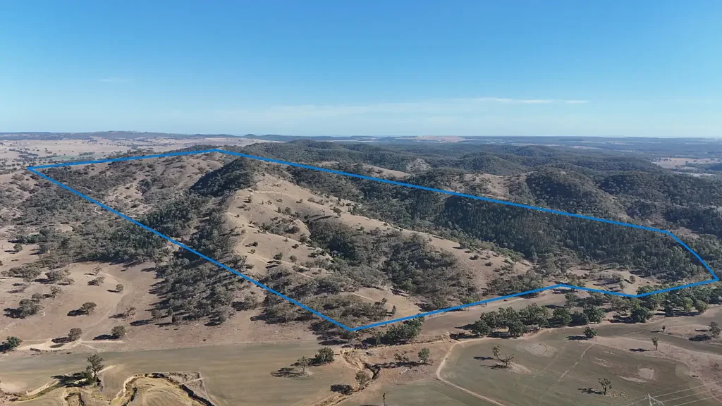 Gulgong GRAZING, HUNTING & WEEKEND ESCAPES