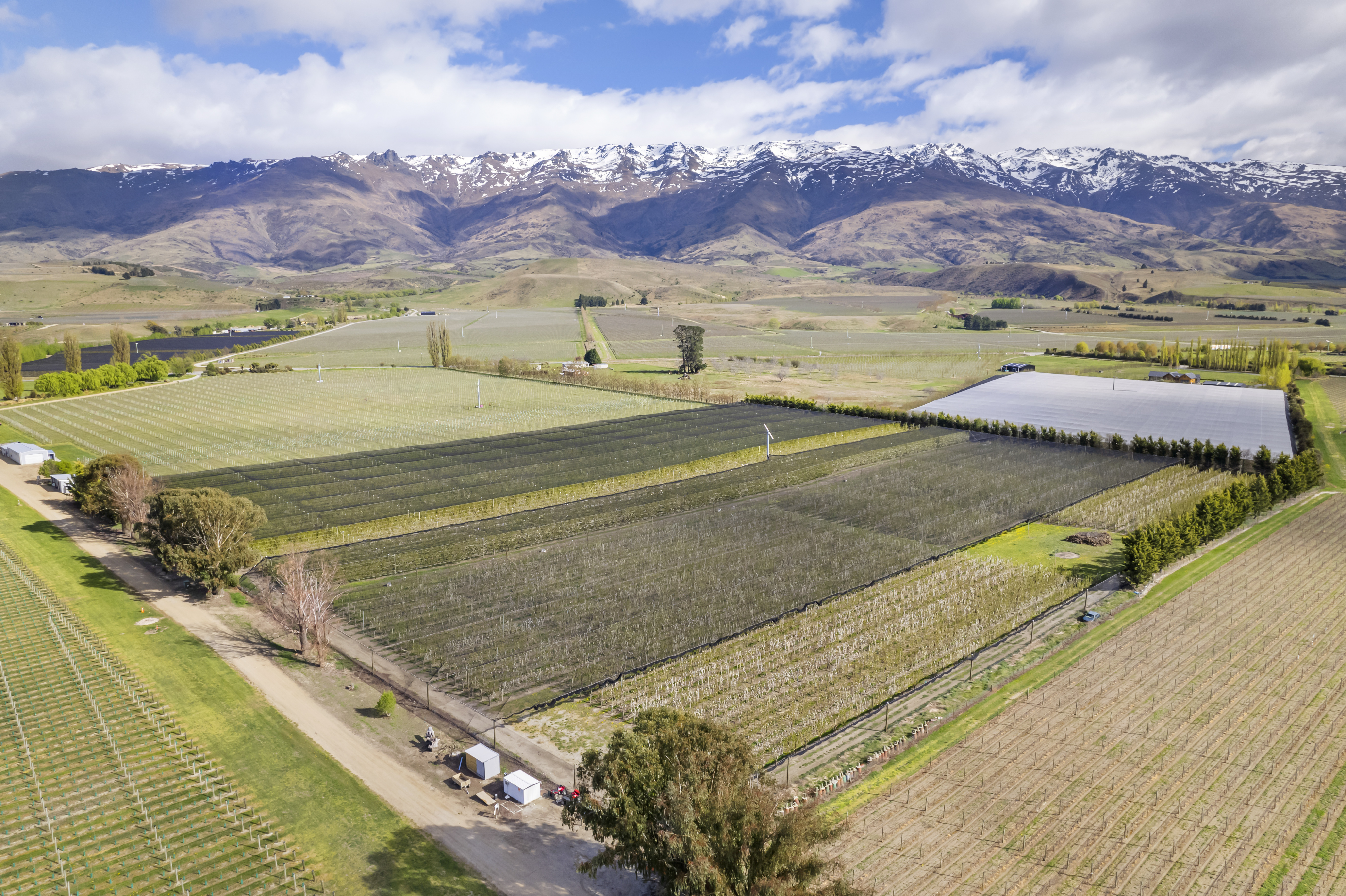 Luggate-Cromwell Road, Cromwell, Otago, 0 침실, 1 욕실, Horticulture