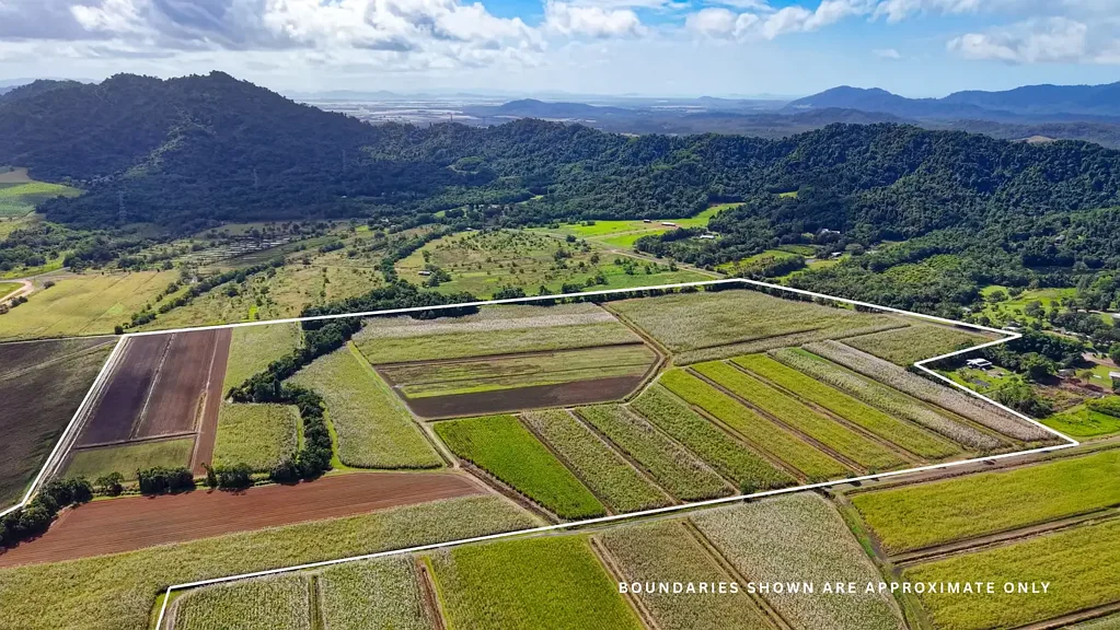 East Feluga 46.2ha of Prime Coastal Hinterland – Where Productive Farmland Meets Coastal Living