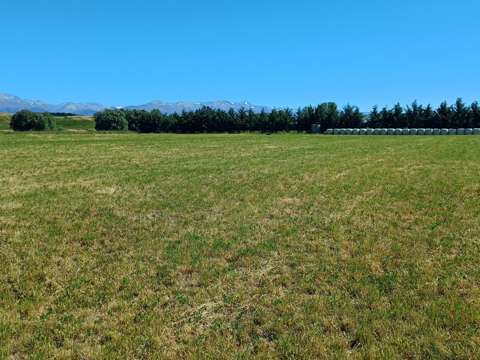 Fairlie  Handy to Fairlie with Views & Shelter