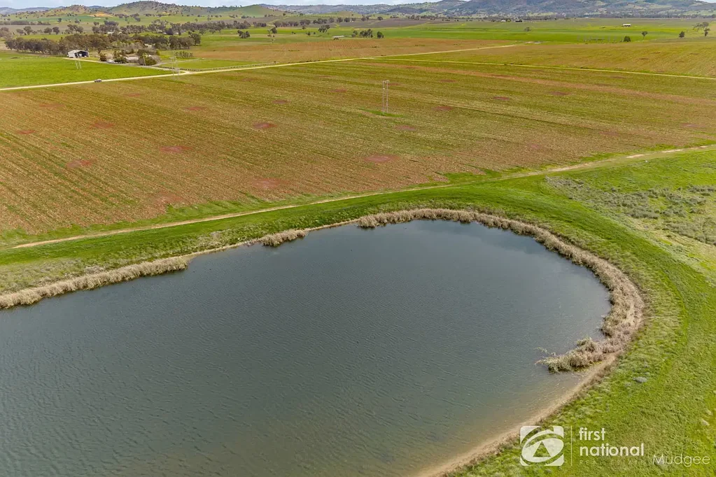 Gulgong 50AC VIEWS PRODUCTIVE LAND + WATER