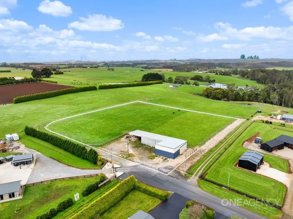 Forest Premium Forest Acreage with Space & Potential