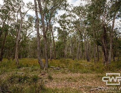 10 Tablelands Road, Red Range, Tamworth, 0 ਕਮਰੇ, 0 ਬਾਥਰੂਮ, Section