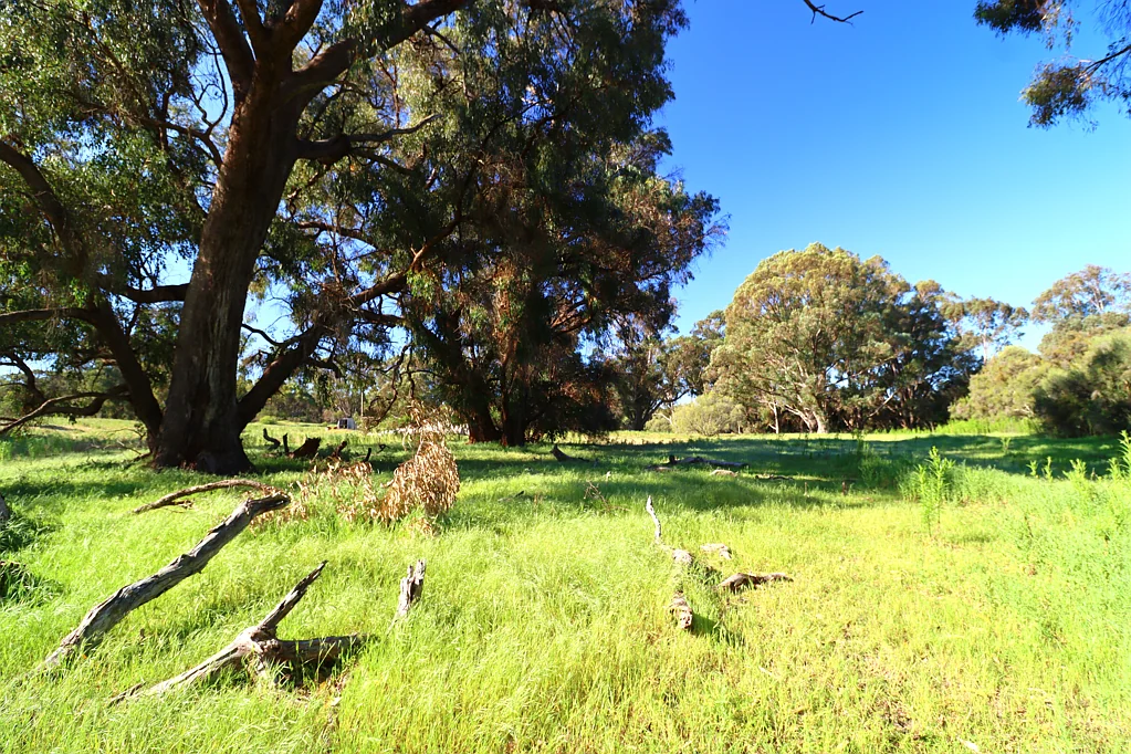 Baldivis  Expansive rural land with development potential.