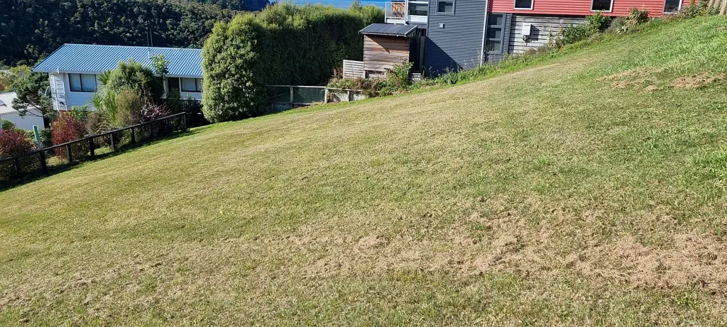Whareroa Sunny section