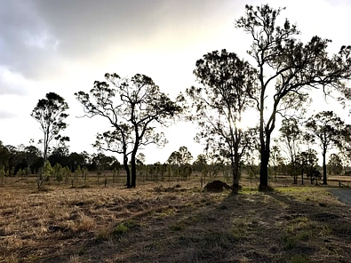 Tiaro  High Exposure Acreage with Scenic Views