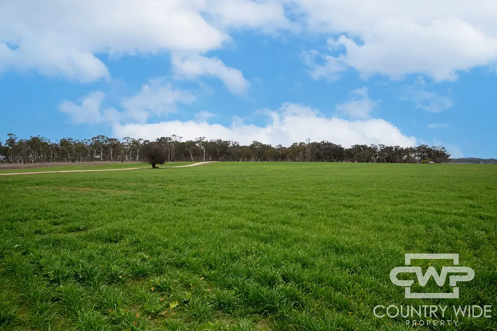 Glen Innes 'Plain View' + 'Plain View South' - Dual Property Opportunity