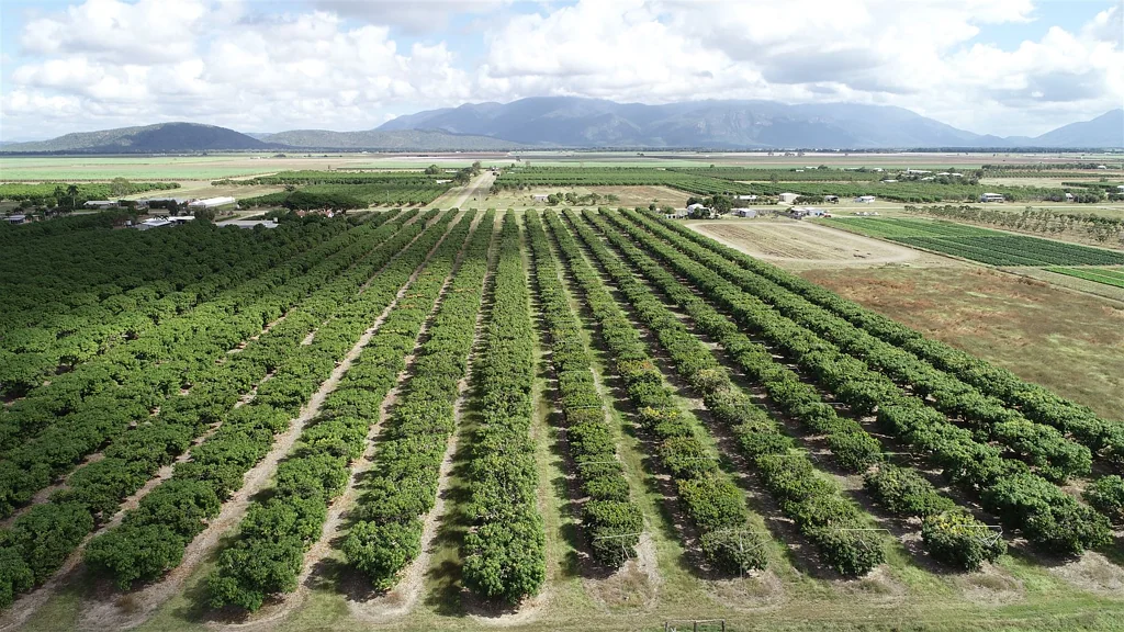 Horseshoe Lagoon Burdekin Mango Farm with Recreational Fishing Lifestyle!