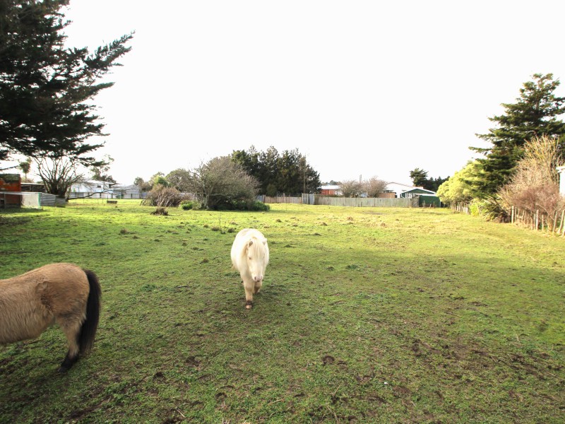 36 Fergusson Street, Woodville, Tararua, 0房, 0浴