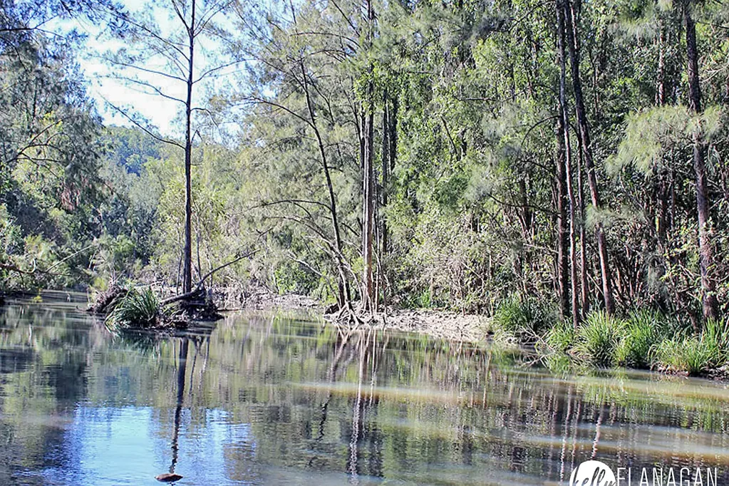 Wittitrin Magic Creek Front Getaway - 16Ha. (40Ac).
