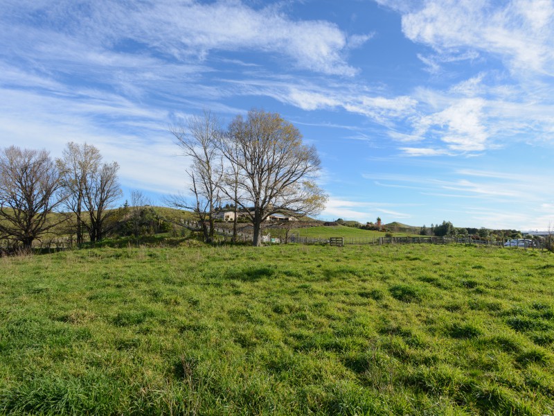 1111 Elsthorpe Road, Otane, Hawkes Bay, 4房, 0浴