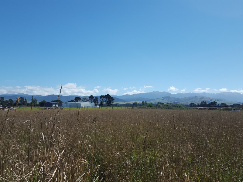 569 Lower Pakihikura Road, Waituna West, Manawatu, 4 ห้องนอน, 0 ห้องน้ำ