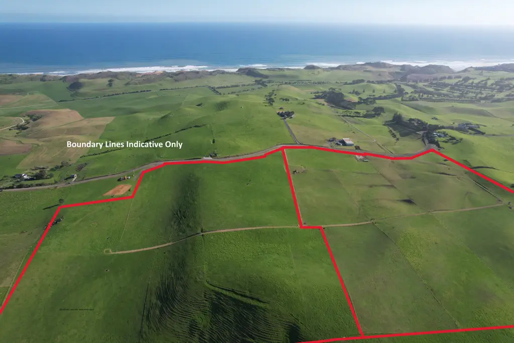 Dargaville Surrounds A Rare Coastal Legacy