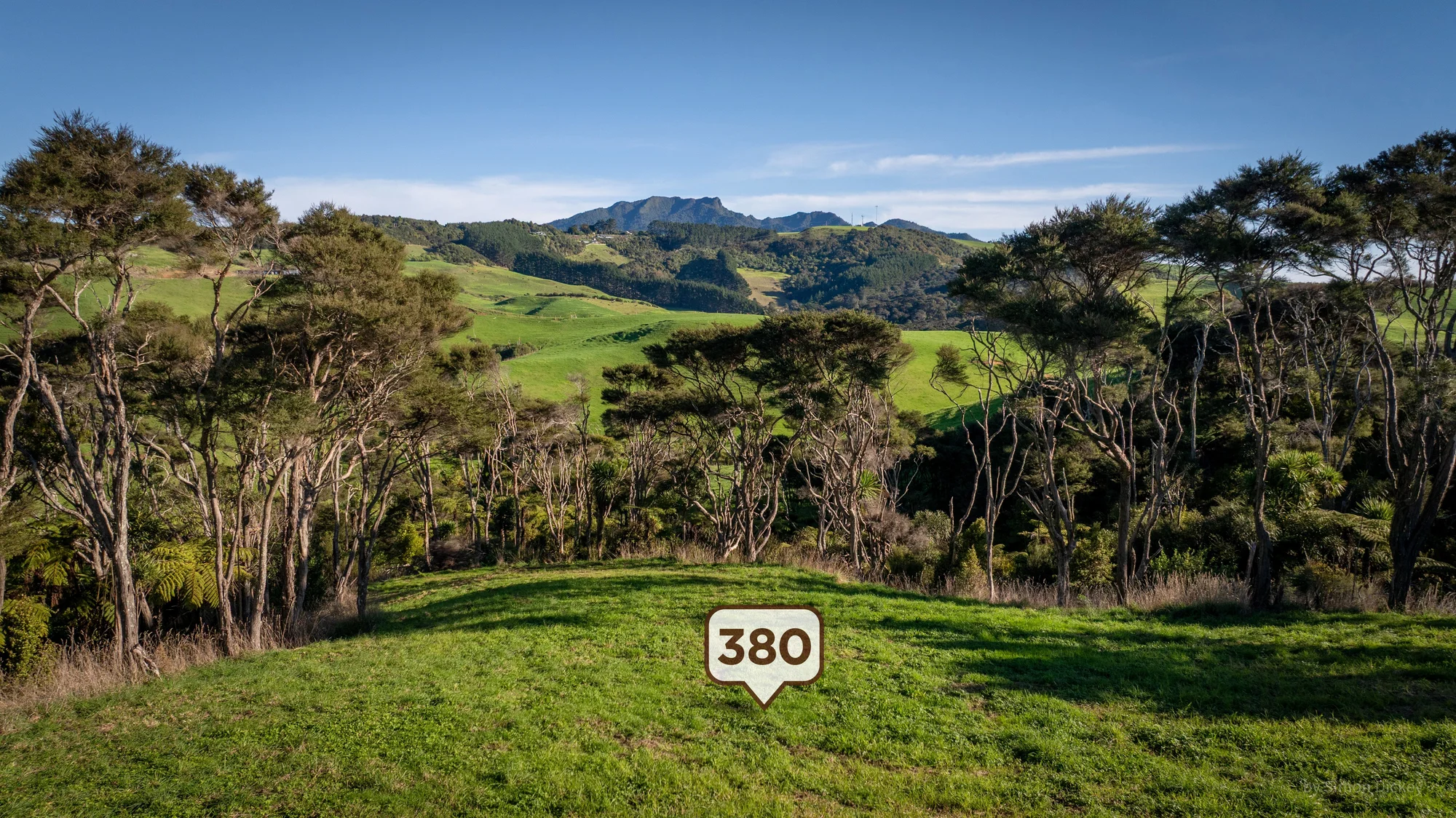 Raglan  Secluded bush retreat at Rangitahi!