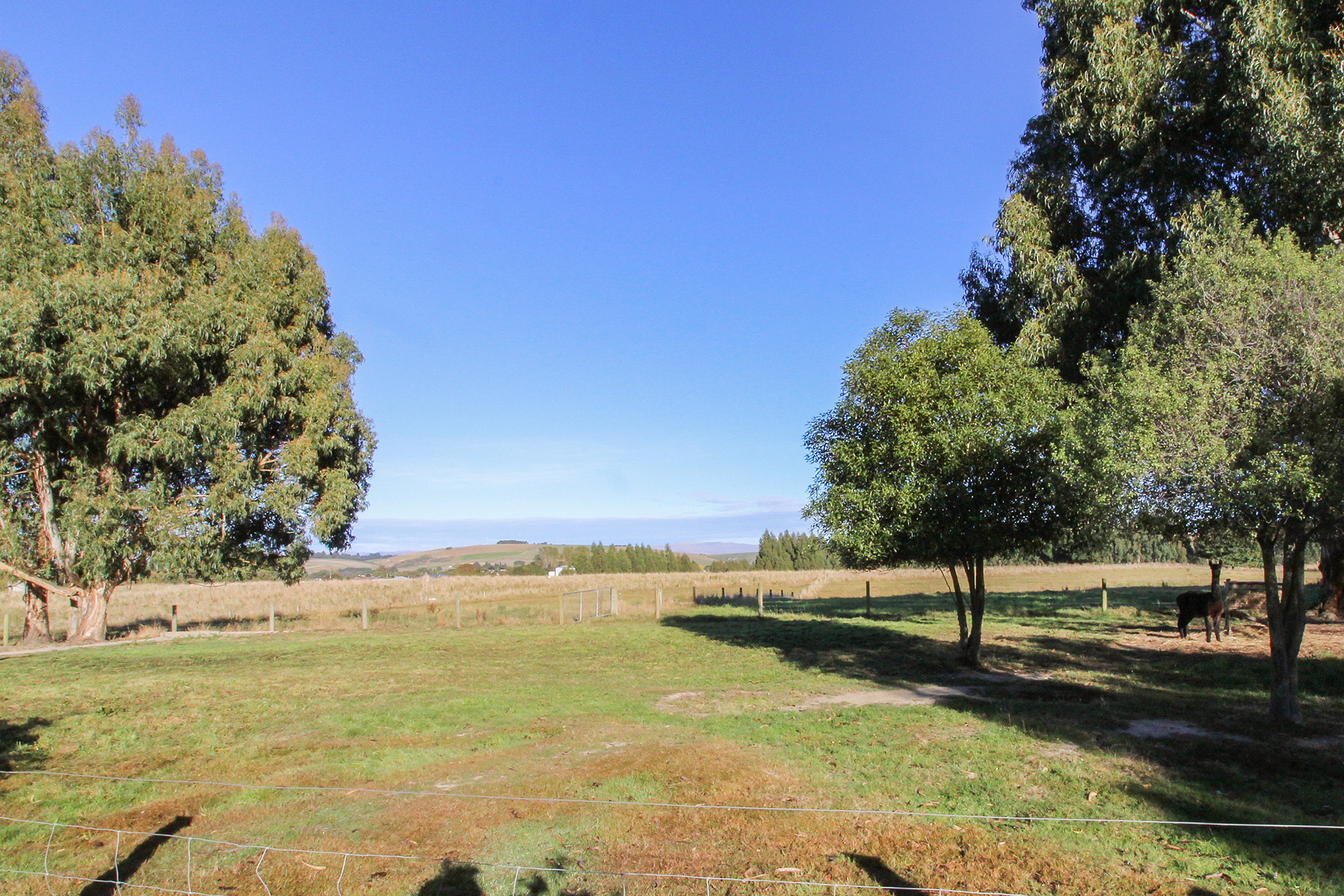 278 Homestead Road, Weston, Waitaki, 4 Kuwarto, 0 Banyo