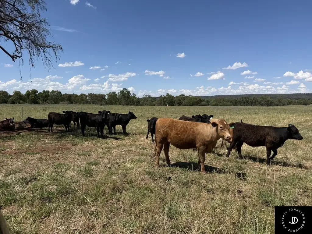 LOT 32/648 Wandobah Road, Gunnedah, NSW 2380