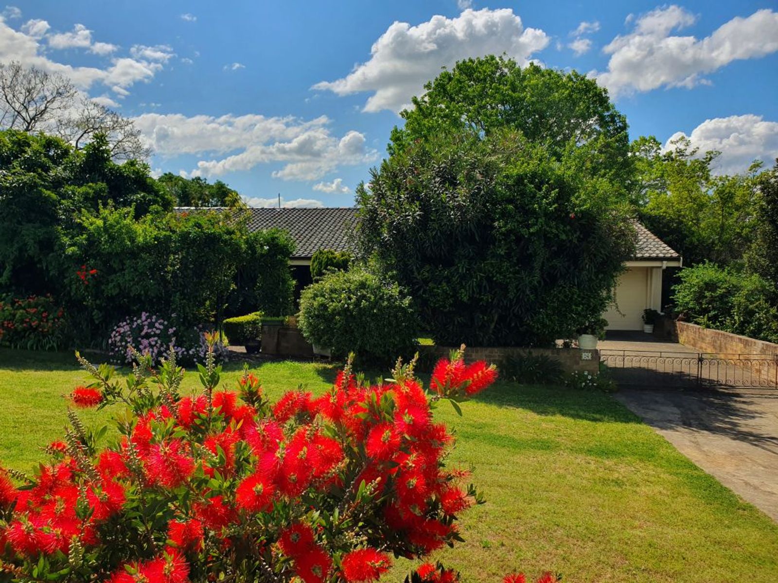 94 UPPER WILLIAM ST, MUSWELLBROOK NSW 2333, 0房, 0浴, House