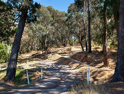 63 Urquhart Street, Castlemaine, Bendigo, 0 Bedrooms, 0 Bathrooms, Section