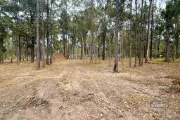 Lot 527 Arbornineteen Road, Glenwood