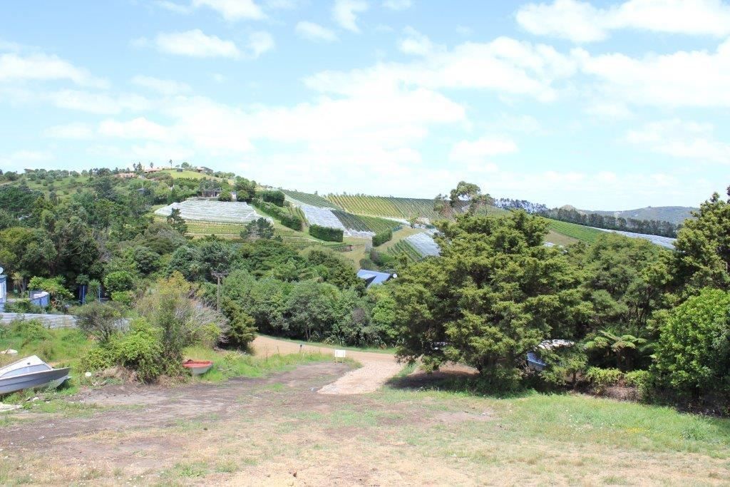 Hauraki Gulf Islands