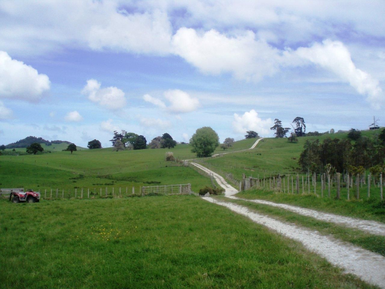 2409 Mititai Road, Arapohue, Kaipara, 0部屋, 0バスルーム