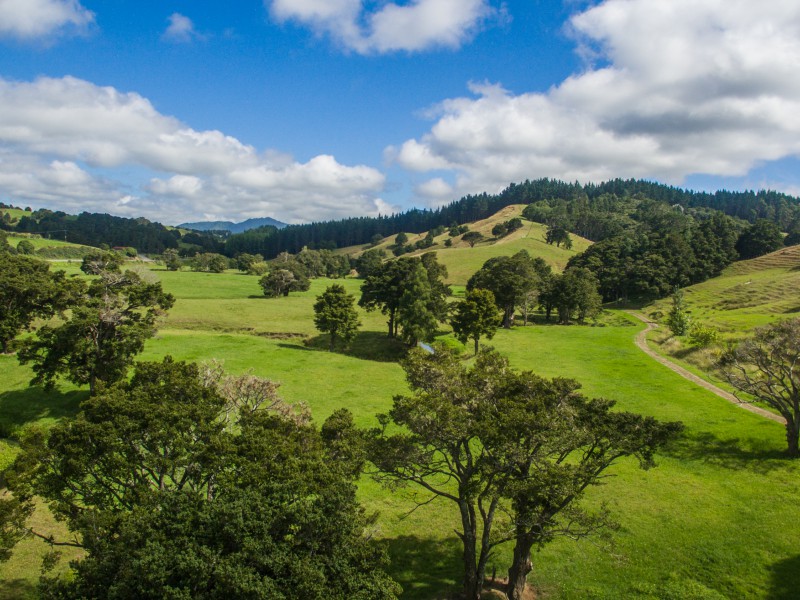 Kirikopuni Valley Road, Tangiteroria, Kaipara, 0房, 1浴