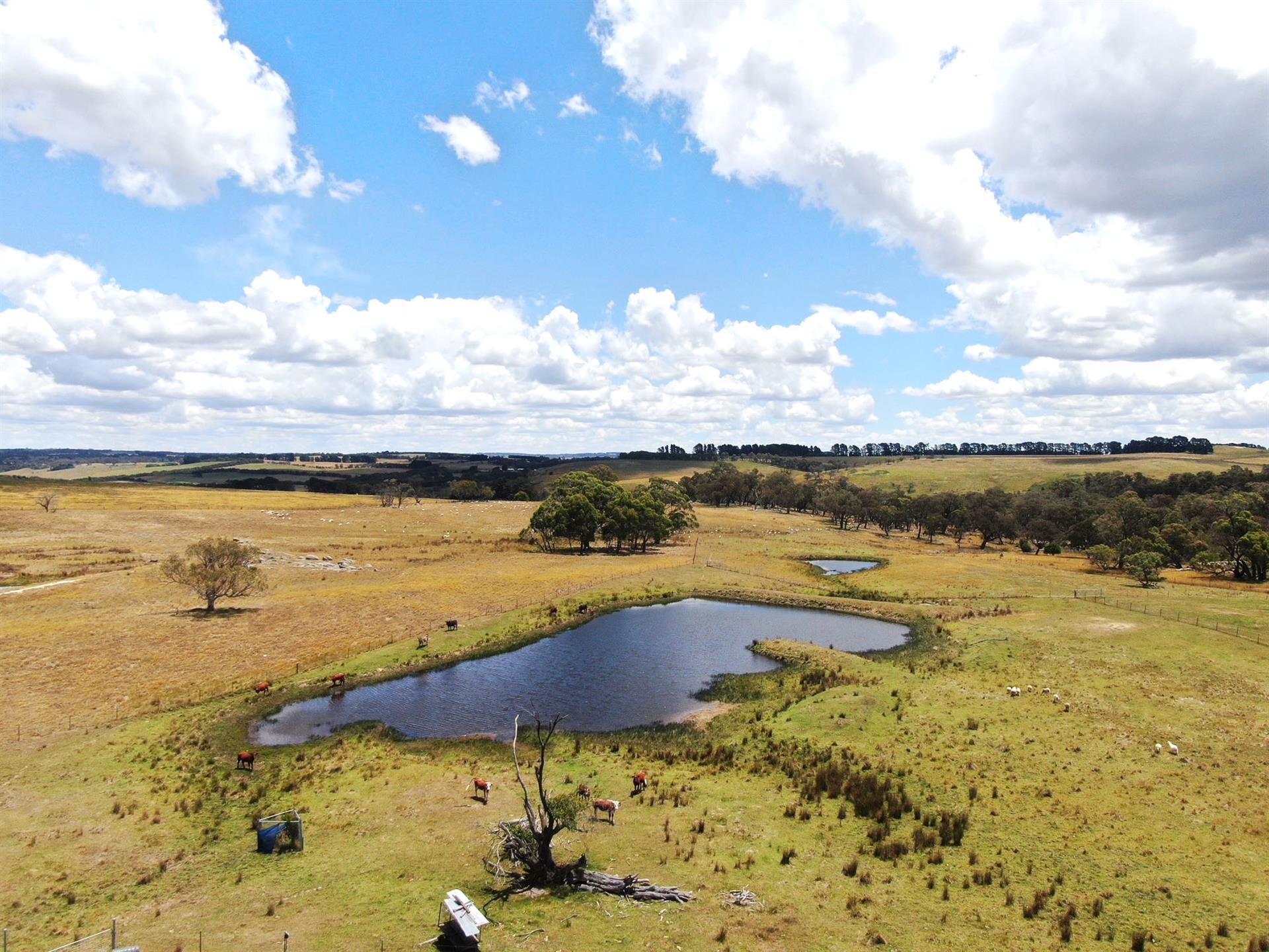 2101 WOODHOUSELEE RD, LAGGAN NSW 2583, 0房, 0浴, Section