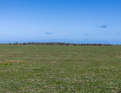 Sect. 217 Old Saltworks Road, Warooka, Barossa - Yorke - Mid North, 0 ਕਮਰੇ, 0 ਬਾਥਰੂਮ, Lifestyle Property