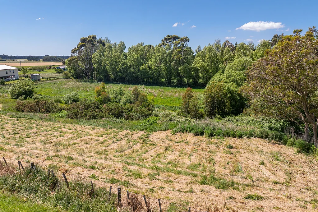 Featherston Choose Your Adventure