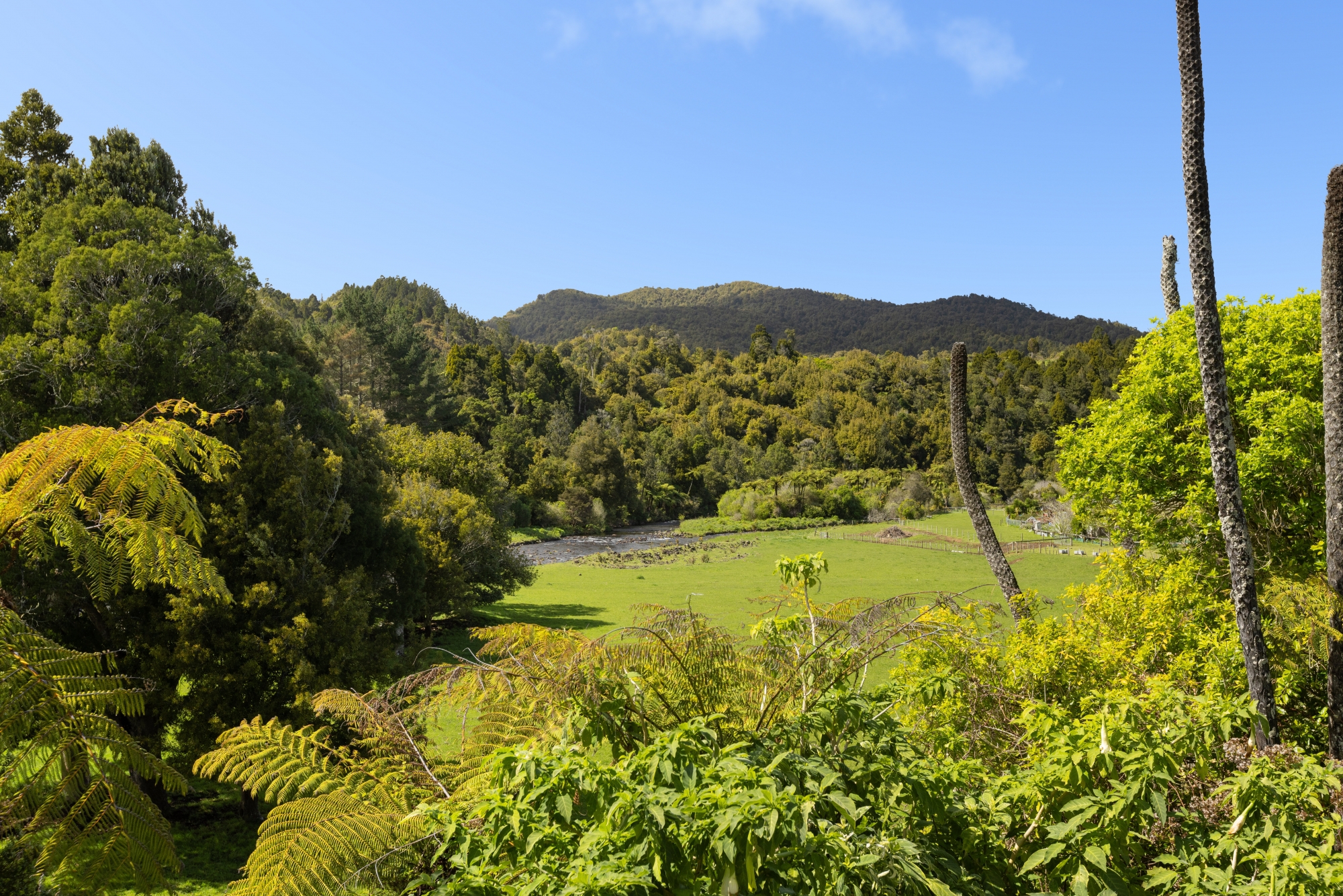 171 Franklin Road, Waihi, Hauraki, 4 rūma, 0 rūma horoi, Lifestyle Property