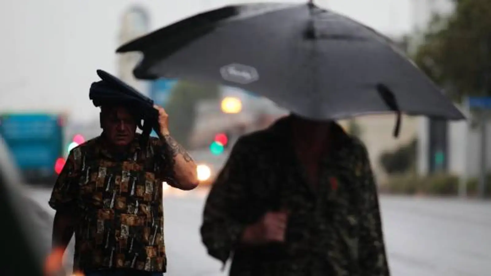 新西兰北岛这两个地方一年下了9个月的雨！奥克兰也没好到哪里去…