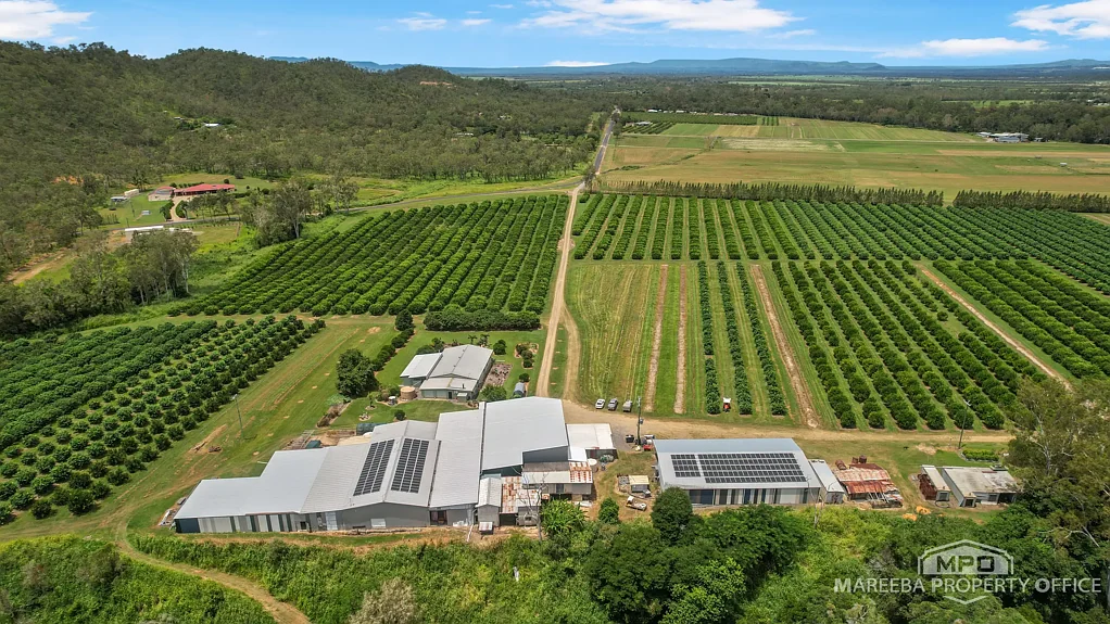 Biboohra  A LUCRATIVE FARMING BUSINESS