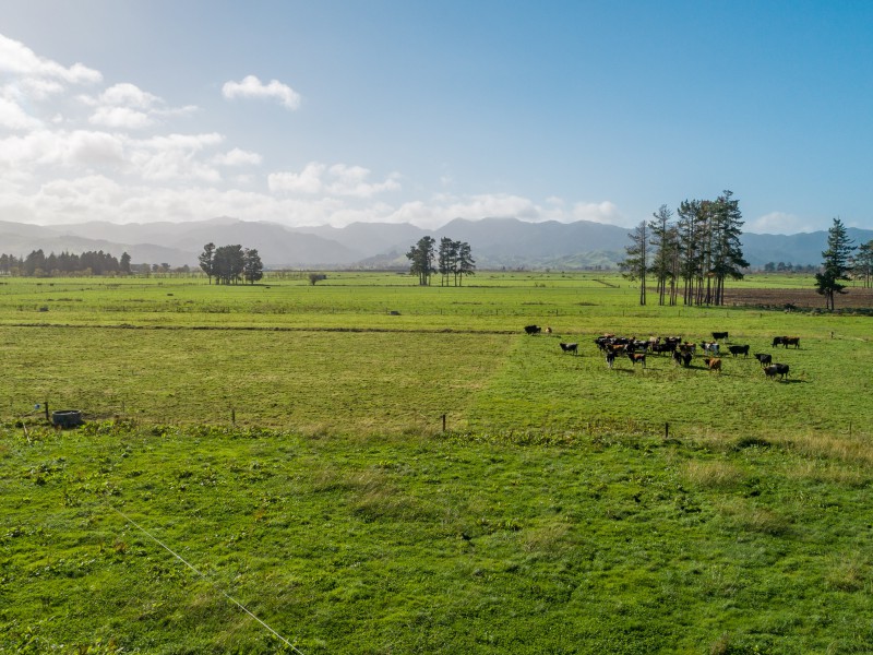 65 Gumtown Road, Turua, Hauraki, 3 Bedrooms, 0 Bathrooms