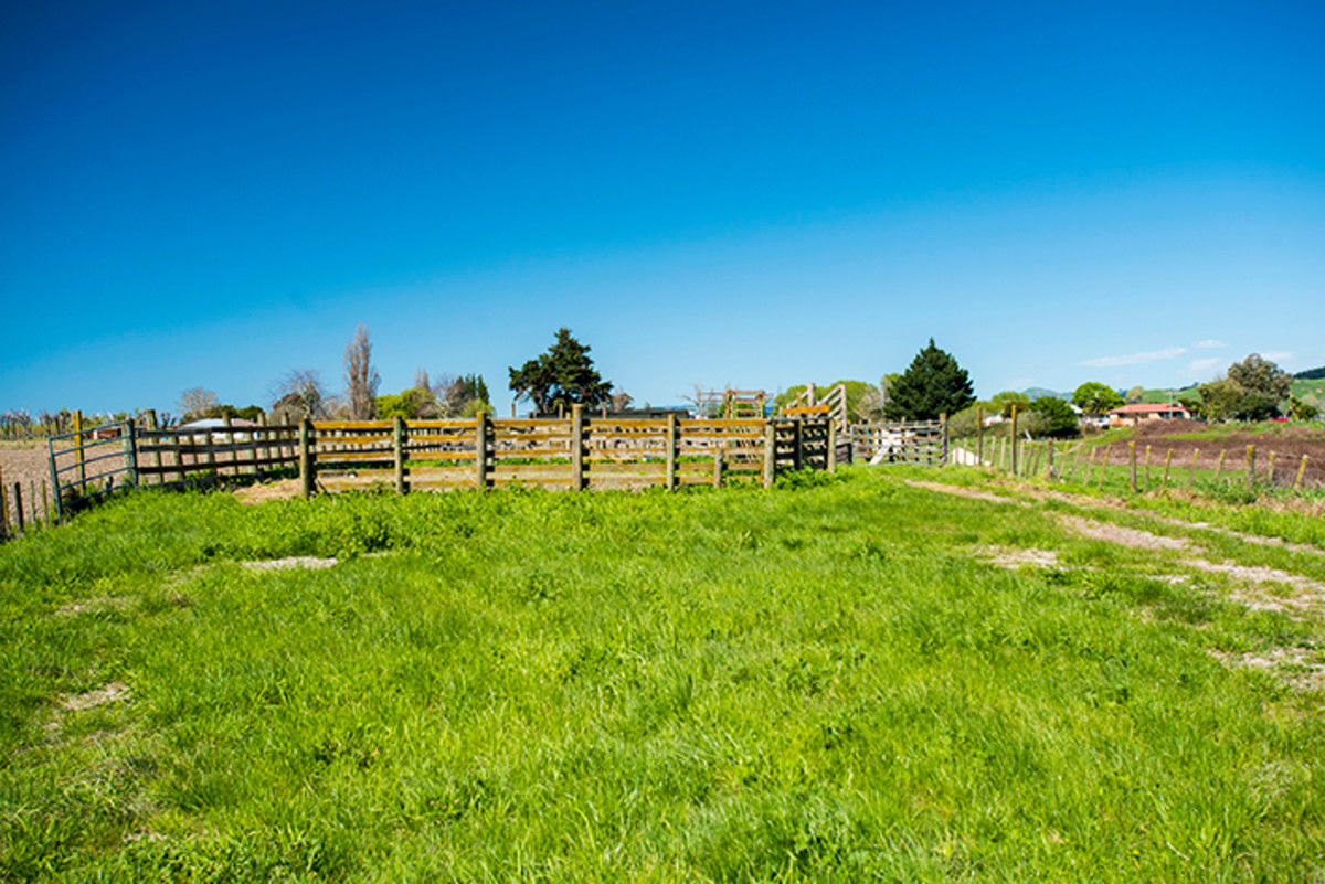 622 Lavenham Road, Waituhi, Gisborne, 4房, 0浴