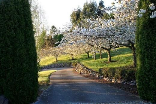 68 Highland Drive, Acacia Bay, Taupo, 4 rūma, 3 rūma horoi