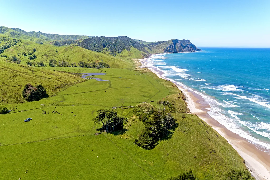 Tolaga Bay Waihau Station – Never before presented to Market