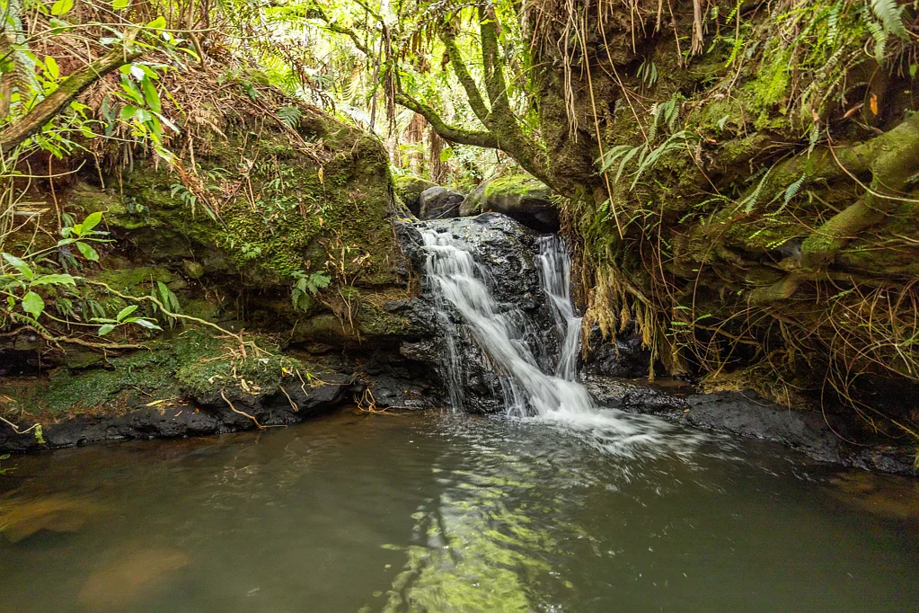 Te Awamutu 3Moenga Luxury living in the heart of nature