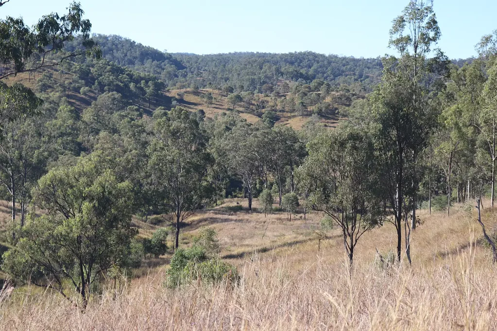 Mount Perry Versatile & Productive - Fantastic Starter or Lifestyle Property